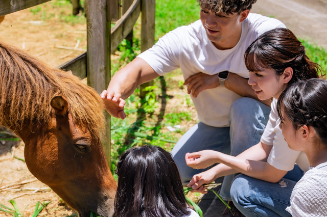 トロピカルガイドツアー